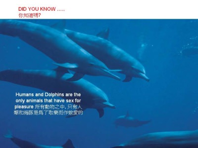 Dinge die man wissen sollte - Did you know - Wusstest du dass Dinge die man wissen sollte - Did you know - Wusstest du dass