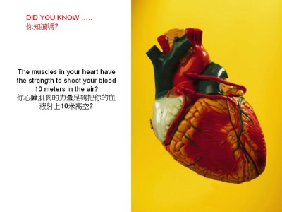 Dinge die man wissen sollte - Did you know - Wusstest du dass Dinge die man wissen sollte - Did you know - Wusstest du dass