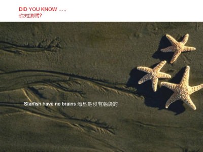 Dinge die man wissen sollte - Did you know - Wusstest du dass Dinge die man wissen sollte - Did you know - Wusstest du dass