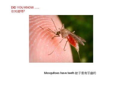 Dinge die man wissen sollte - Did you know - Wusstest du dass Dinge die man wissen sollte - Did you know - Wusstest du dass