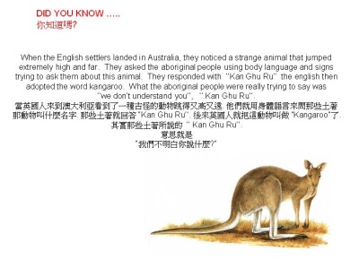 Dinge die man wissen sollte - Did you know - Wusstest du dass Dinge die man wissen sollte - Did you know - Wusstest du dass