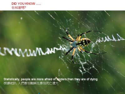Dinge die man wissen sollte - Did you know - Wusstest du dass Dinge die man wissen sollte - Did you know - Wusstest du dass