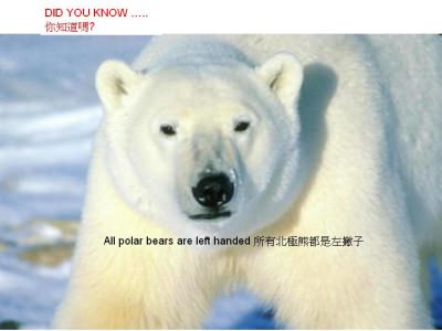 Dinge die man wissen sollte - Did you know - Wusstest du dass Dinge die man wissen sollte - Did you know - Wusstest du dass