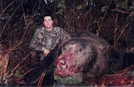 Grizzly - Riesen Bär - Größter Bär der Welt