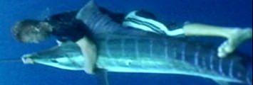 Der verrückteste Angler der Welt - Matt Watson - Stuntfischer - Extremfischen