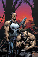 Comic Wolverine-Punisher
