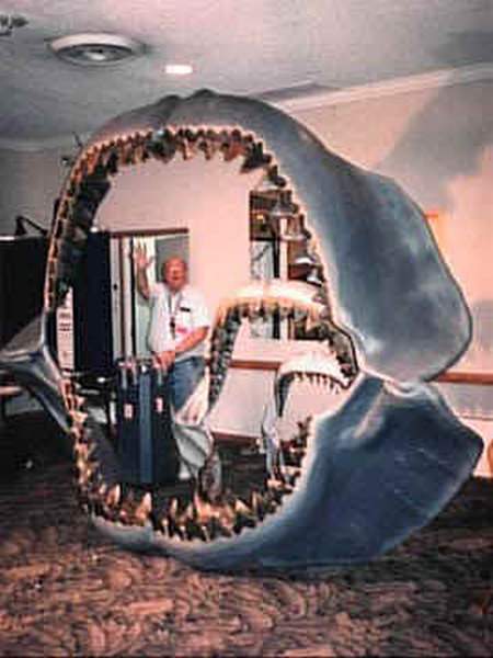 Megalodon - größter Hai - größter Fisch der Welt - Gebiss - Kiefer