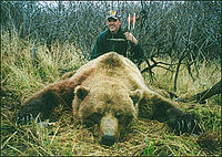 Riesen-Grizzly-Baer 9