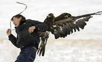 Adlerangriff Adler greift Mensch an eagle attacks human Adlerattacke 2